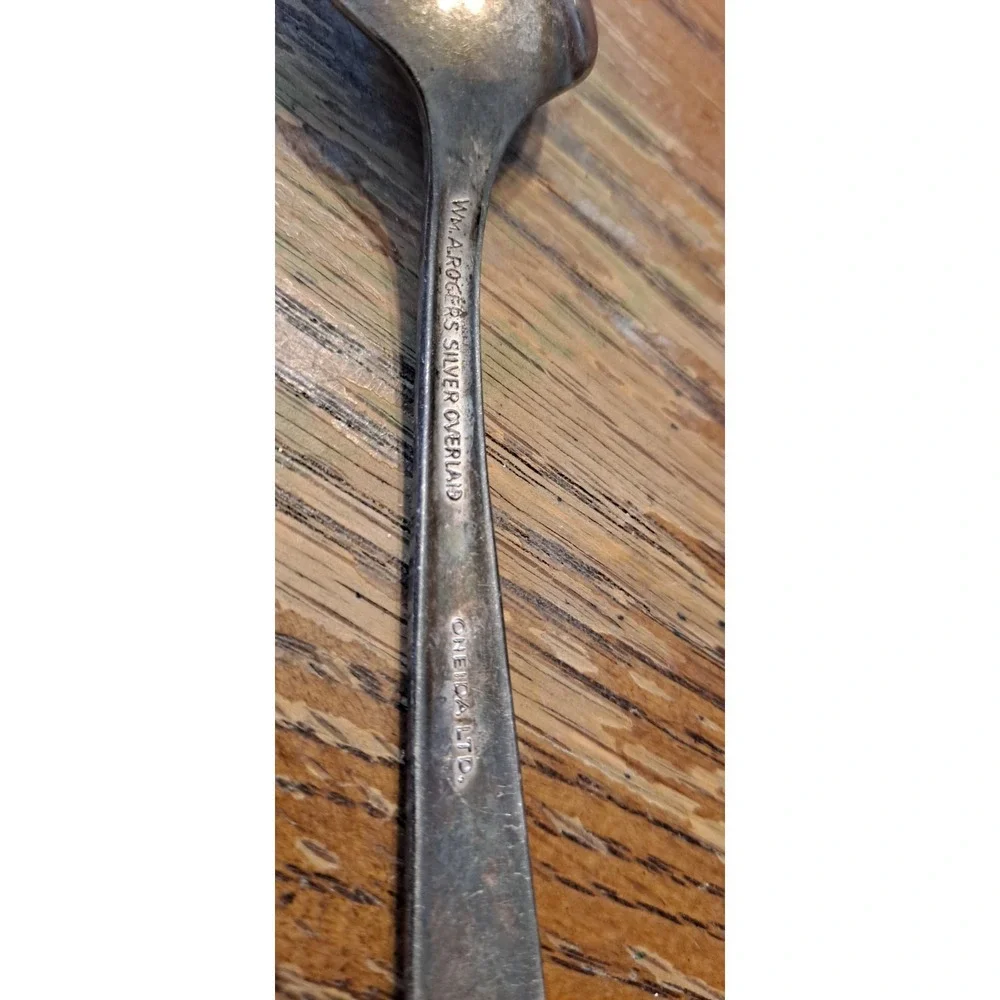 ONEIDA‎ WM ROGERS SILVER PLATE FLATWARE ALWAYS WILDWOOD  1 TEASPOON